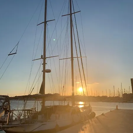 Apartment Apartment Torrevieja